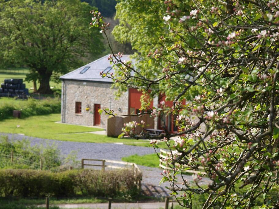 Peregrine Stable Cottage แลนโดเวรี ภายนอก รูปภาพ